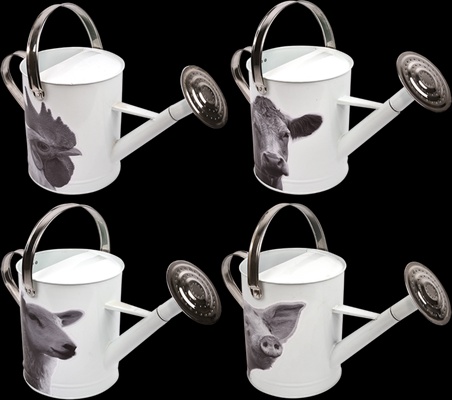 Regadera Metalica Animales de Granja Blanco y Negro